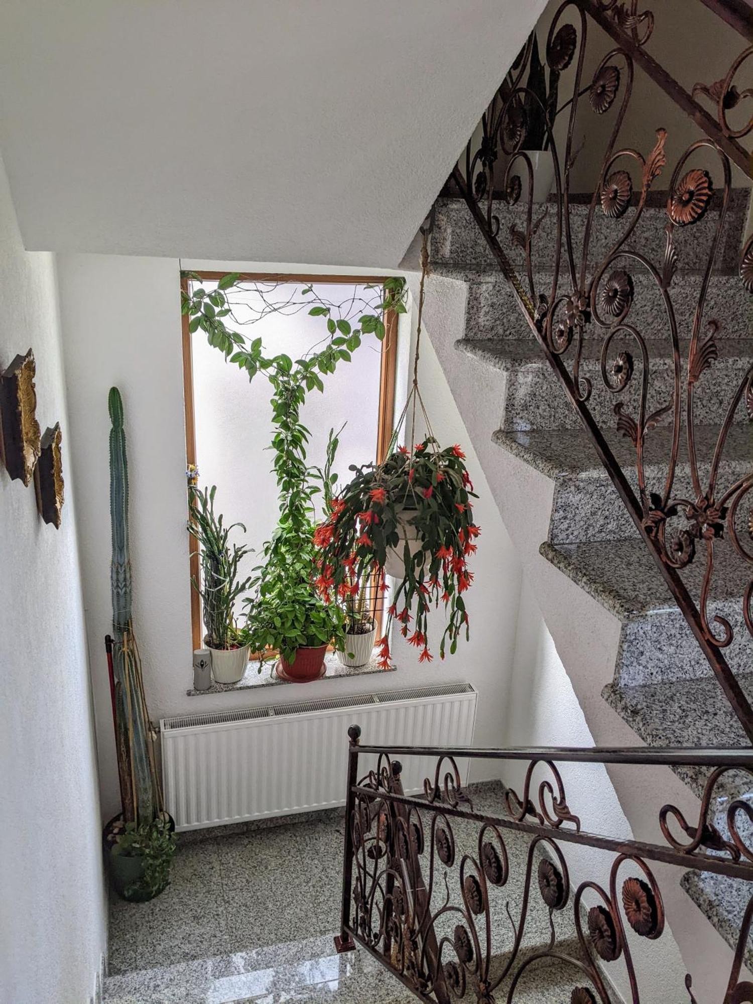 Apartmani Hrastik Bihać Extérieur photo