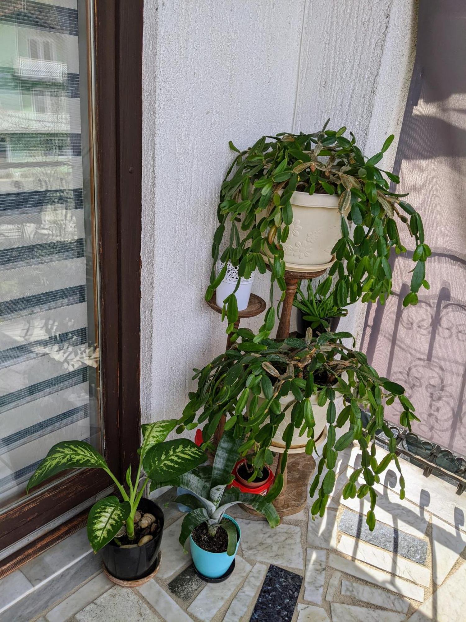 Apartmani Hrastik Bihać Chambre photo