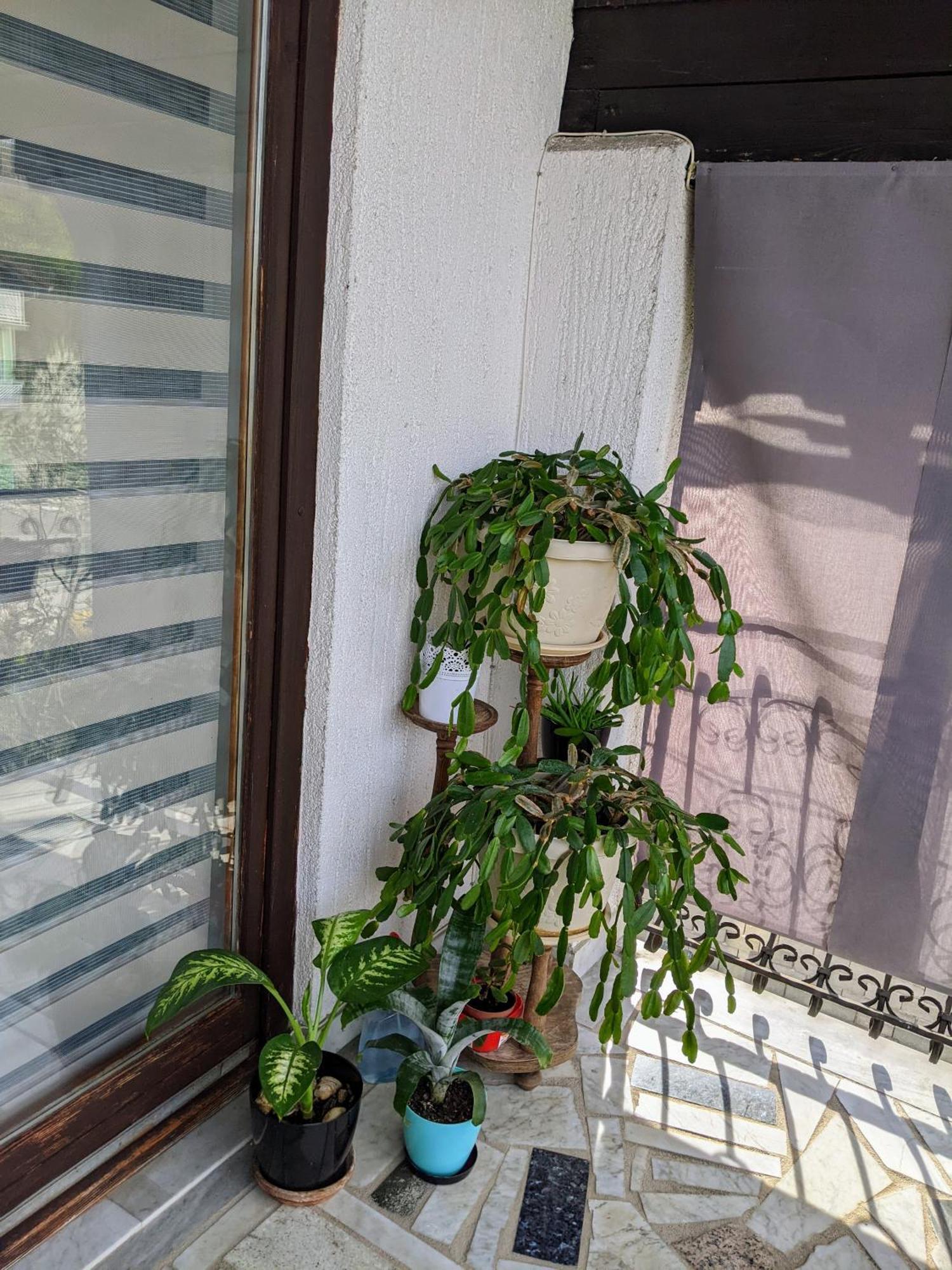 Apartmani Hrastik Bihać Chambre photo